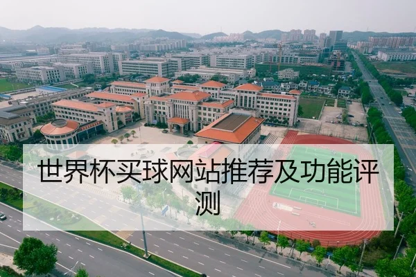 世界杯买球网站推荐及功能评测