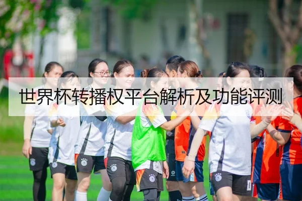世界杯转播权平台解析及功能评测