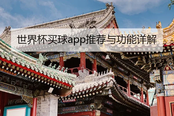 世界杯买球app推荐与功能详解