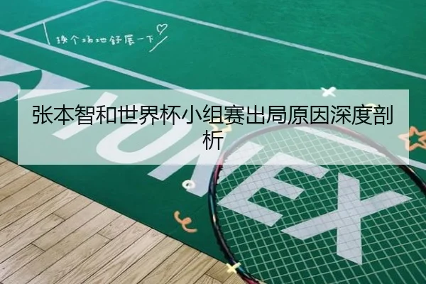 张本智和世界杯小组赛出局原因深度剖析