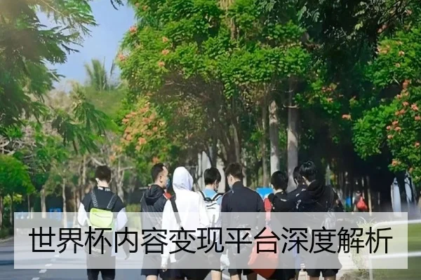 世界杯内容变现平台深度解析